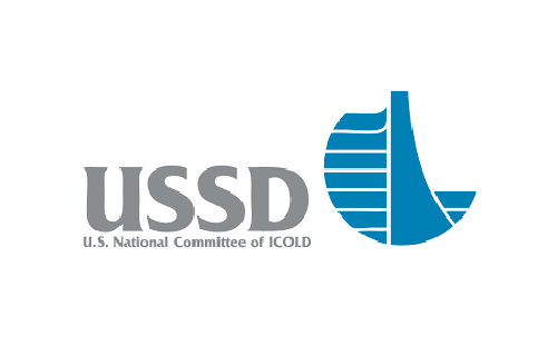 Logo USSD