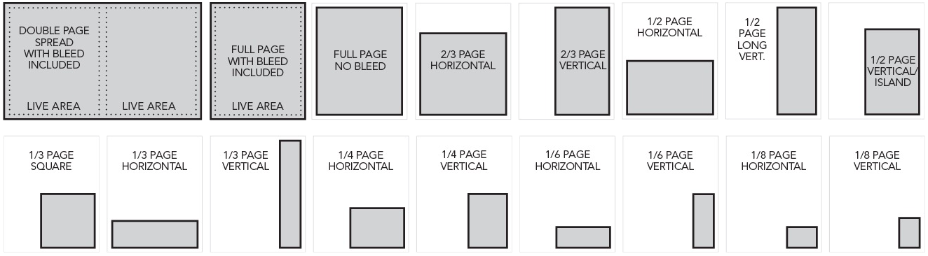 Publication Format