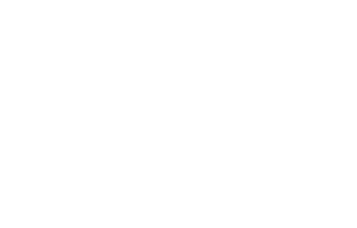 Logo NAPA