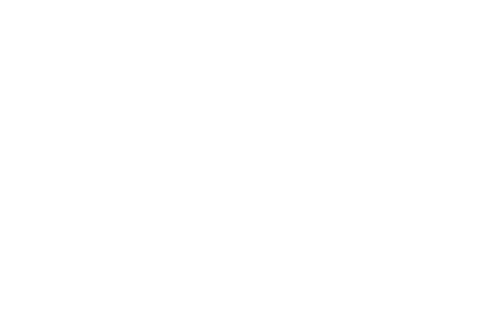 Logo AOC White