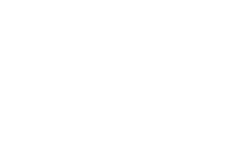 Logo APCO White