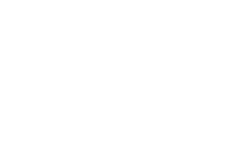 Logo BIG i White