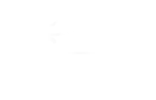 Logo NASN