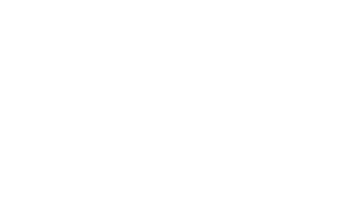Logo NENA